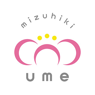 4種類の梅結びの写真